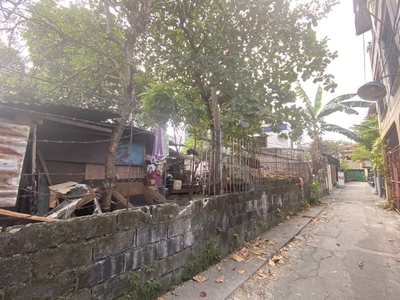 Lot For Sale In Sta. Ana, Taguig
