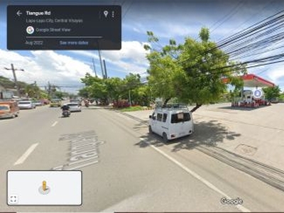 21-Hectare Lot Property with Beachline for sale at IGACOS, Samal