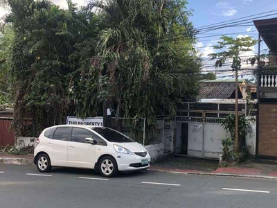 House For Sale In Roxas, Quezon City