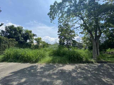 Lot For Sale In Alabang, Muntinlupa