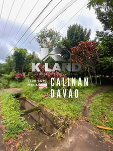 Lot For Sale In Malagos, Davao