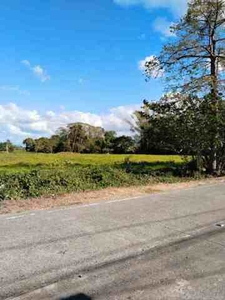 Lot For Sale In Paiisa, Tiaong
