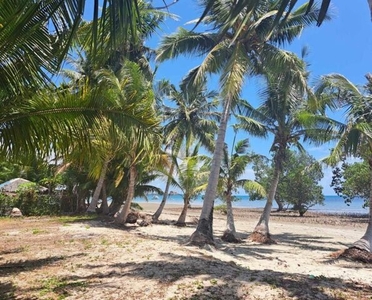 Lot For Sale In Roxas, Palawan
