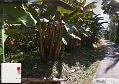 Agricultural Land for Sale 4.2 hectares in Tangway Lipa City