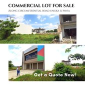 COMMERCIAL LOTS FOR SALE ALONG CIRCUMFERENTIAL ROAD NEAR ROBINSONS PAVIA