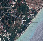 Land in Libaong 1000 sqm, Panglao, walking distance to the beach, 8 min from airport and 11 ming from Alona, Clean Title