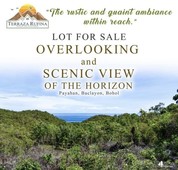 Overlooking Lot for Installment in Baclayon Bohol