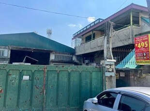House For Rent In Apolonio Samson, Quezon City