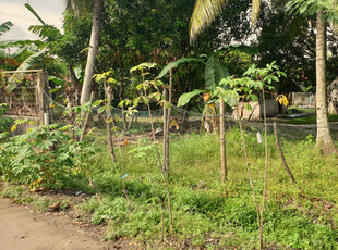 Lot For Sale In Bacolod, Negros Occidental