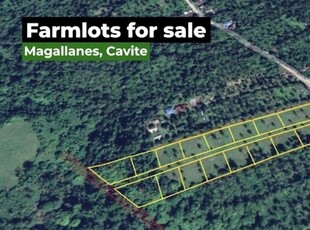 Lot For Sale In Baliwag, Magallanes