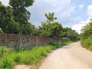 Lot For Sale In Mahabangkahoy Cerca, Indang