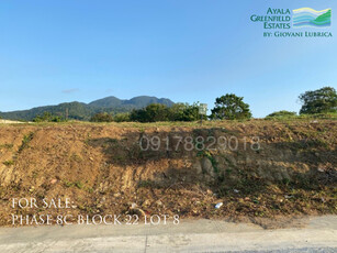 Lot For Sale In Maunong, Calamba
