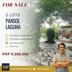 Lot For Sale In Santa Cruz, Laguna