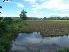 Farm Land San Juan-Batangas - $9 For Sale Philippines