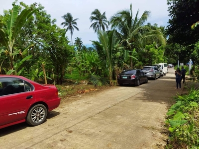 Farm Lot for Sale in Marahan I, Alfonso, Cavite