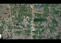 5.6-hectare Lot for Sale in Puerto Prinsesa
