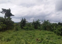8,353 sqm Overlooking Vacant Lot in Tanauan City, Batangas