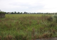 750 sqm agricultural lot for sale in brgy.Balibago Tarlac City