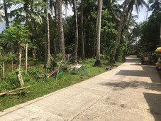 Lot for sale Clarin, Misamis Occidental