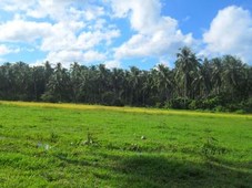El Nido 1 hec Titled Rural Land For Sale Philippines