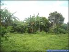 Rush raw land for sale 10,520 sq For Sale Philippines