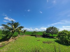 FARM FOR SALE with residential house, rice field and mango trees