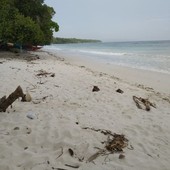 Beach Lot White Sand in Dauis Panglao Bohol, Philippines
