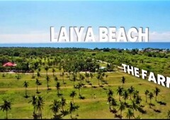 LAIYA BEACH FARM LOTS FOR SALE!