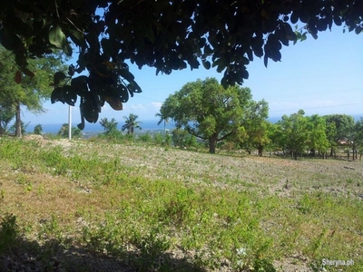 Overlooking residential lot 100sq. mtrs tubod minglanilla