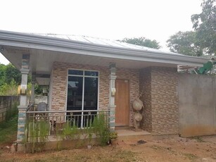 FULLY FURNISHED HOUSE AND LOT IN TINAGO DAUIS BOHOL