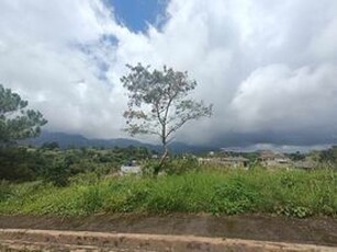 Lot For Sale In Asin Road, Baguio