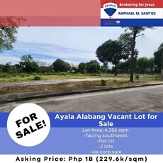 Lot For Sale In Ayala Alabang, Muntinlupa