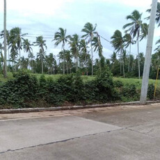 Lot For Sale In Baliwag, Magallanes