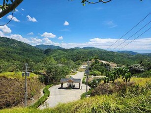 Lot For Sale In Cansomoroy, Balamban