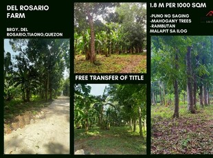 Lot For Sale In Del Rosario, Tiaong