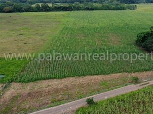 Lot For Sale In Malatgao, Narra