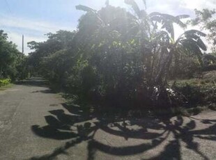 Lot For Sale In Paradahan I, Tanza
