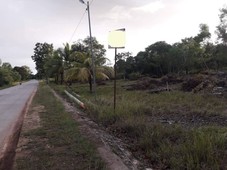 5,000 sqm Vacant Lot For Long-Term Lease in Panglao Island