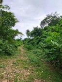 Land for sale in Damula-An, Leyte