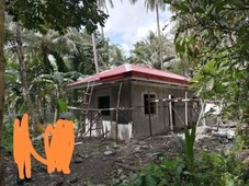 Land for sale in Igang, Leyte