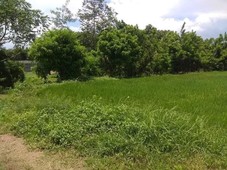Zonal for Poultry Business Farm Lot in Batangas
