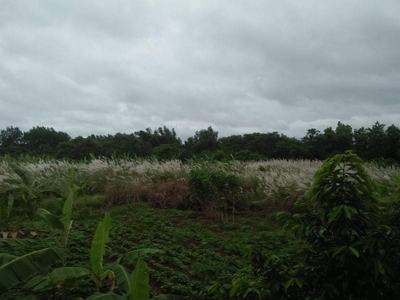 2.1 Hectares Farm Lot For Sale in Balubad, Silang, Cavite