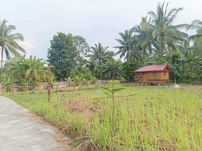260sqm Gated Farm Lot for sale in Banaybanay, Amadeo near Tagaytay