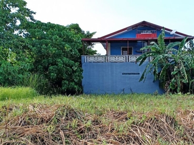 300 sqm Lot For Sale in Guadanoville Subdivision with clean title, Caloocan City