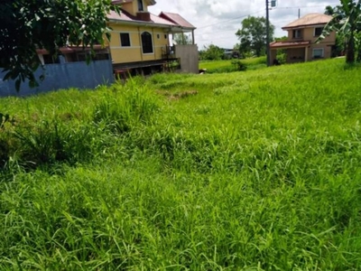 316sqm Residential lot for Sale in Metrogate Silang Cavite
