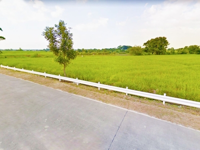 4,369 sqm Lot along Naic-Indang Road for Sale, Cavite