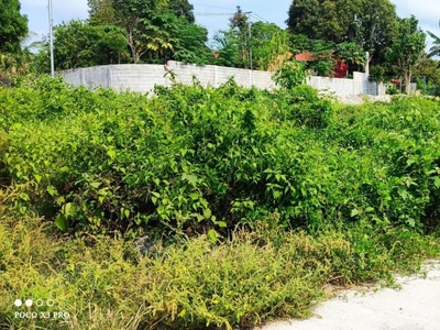 600 Sqm residential lots for sale in silang cavite