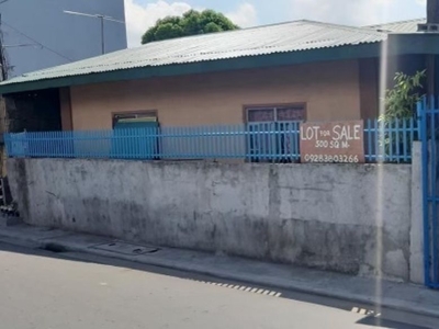 897sqm Commercial lot for sale(Negotiable) in Anabu I-A