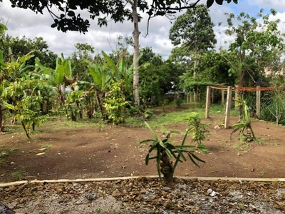 Farm Lot with structure in Amadeo Cavite for Sale