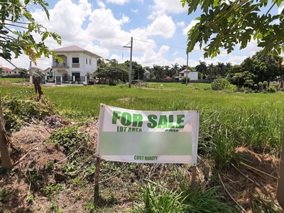 Land for sale in Pacific Park Place Subdivision, Dasmariñas Cavite